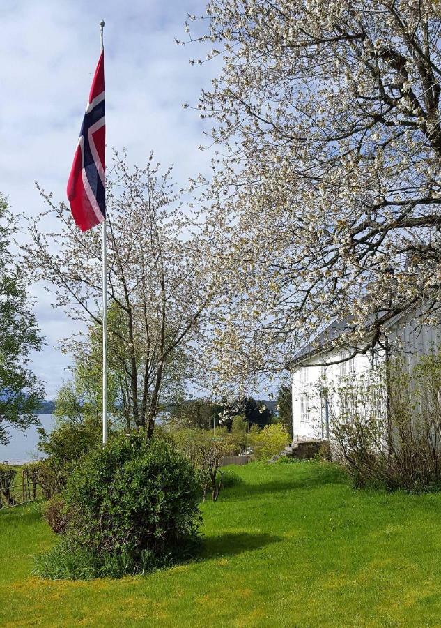 Apartament Kjorsvik Ovre Tornes Zewnętrze zdjęcie