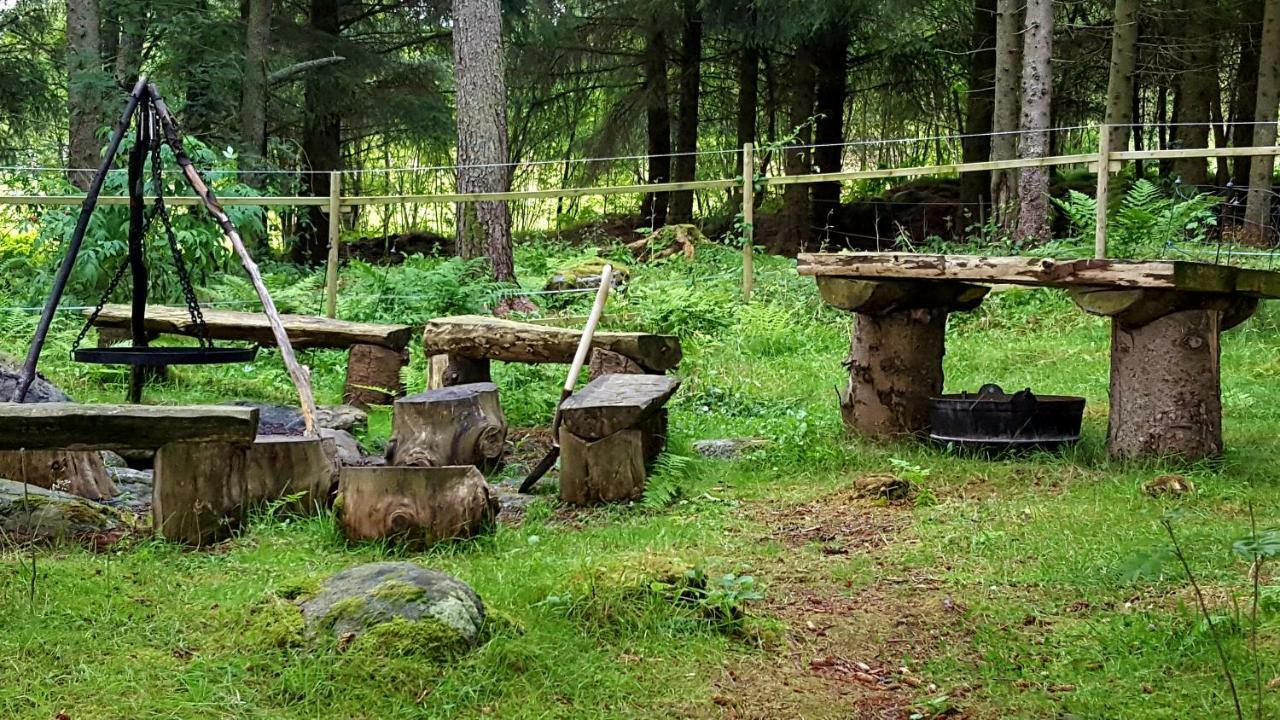 Apartament Kjorsvik Ovre Tornes Zewnętrze zdjęcie