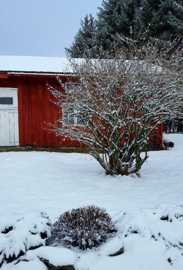 Apartament Kjorsvik Ovre Tornes Zewnętrze zdjęcie