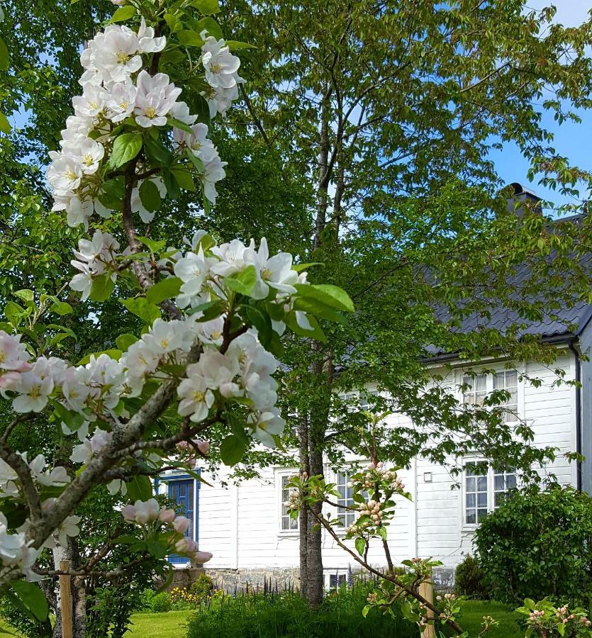 Apartament Kjorsvik Ovre Tornes Zewnętrze zdjęcie